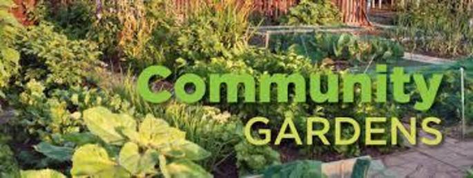 Communty garden